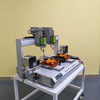 Equipamento de chave de fenda de alta precisão de alta precisão com mecanismo de alimentação de parafuso automático duplo e cabeças de motorista duplo para aplicações de fixação industrial em configurações de fábrica